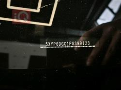 کیا تێلوراید